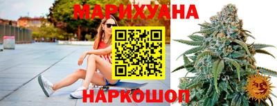 сатива Гатчина