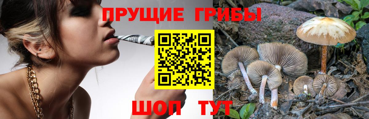 Псилоцибиновые грибы MAGIC MUSHROOMS Златоуст