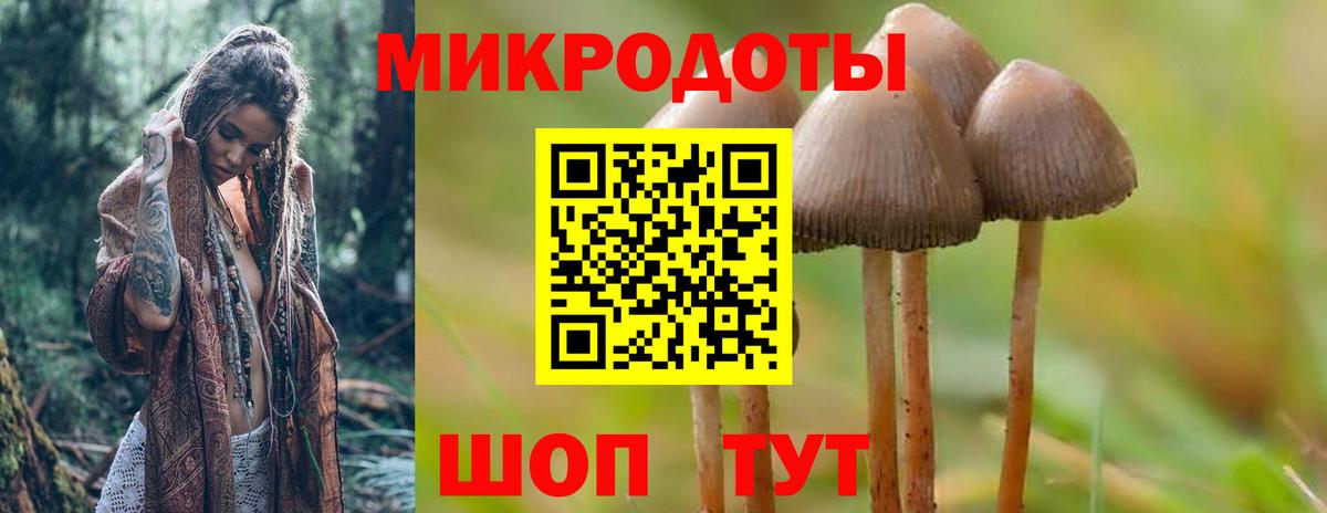 Псилоцибиновые грибы MAGIC MUSHROOMS Златоуст